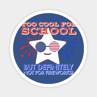 I'm too cool for school but definitely not for fireworks Magnet